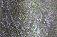 Longpark fibreglass roof work